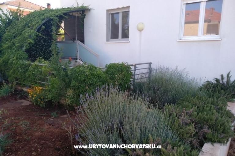 Apartament Paiz – foto 2