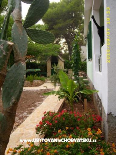 Apartamenty Antica – foto 9