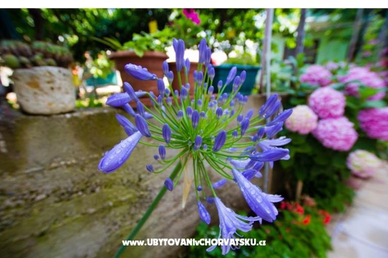 Apartamenty Bartul – foto 16