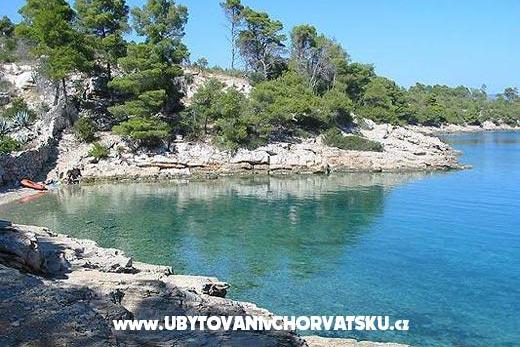 Apartamenty Brkan – foto 15