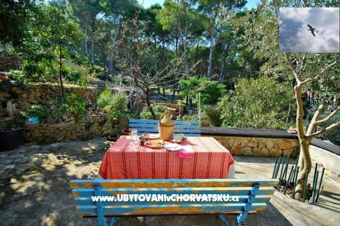 Apartamenty Grgicevic – foto 9