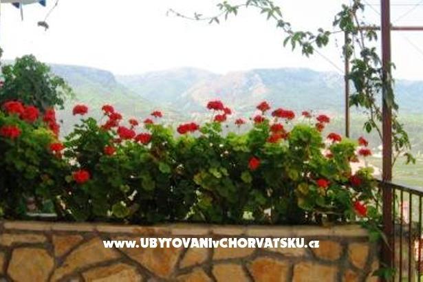 Apartamenty Jelsa-Hvar – foto 8