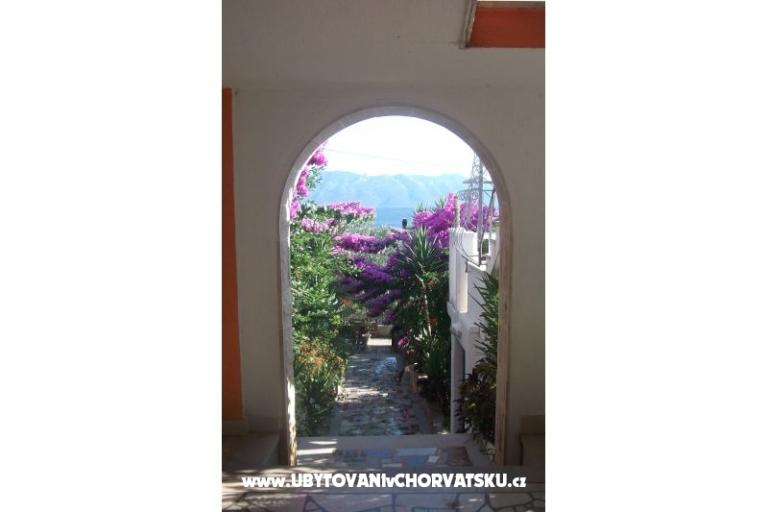 Apartamenty Nada – foto 4