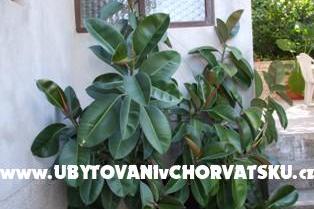 Apartamenty Račić – foto 7