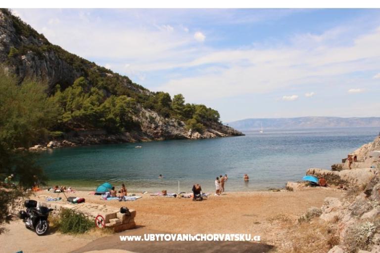 Apartamenty Roza – foto 17
