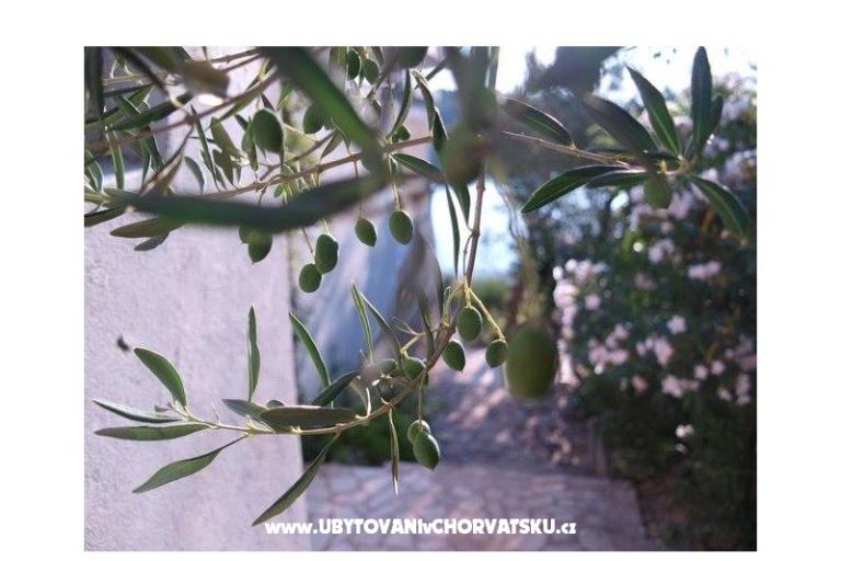 Apartamenty Stipišić – foto 6