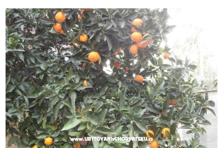 Apartamenty Bogović – foto 18