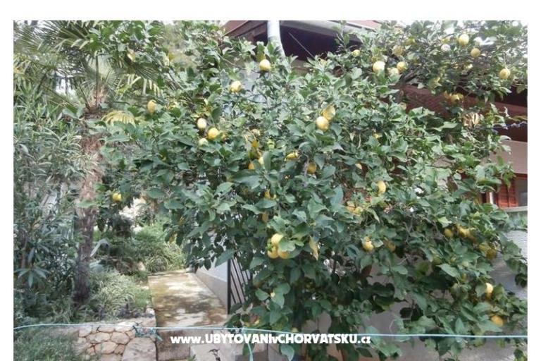 Apartamenty Bogović – foto 20
