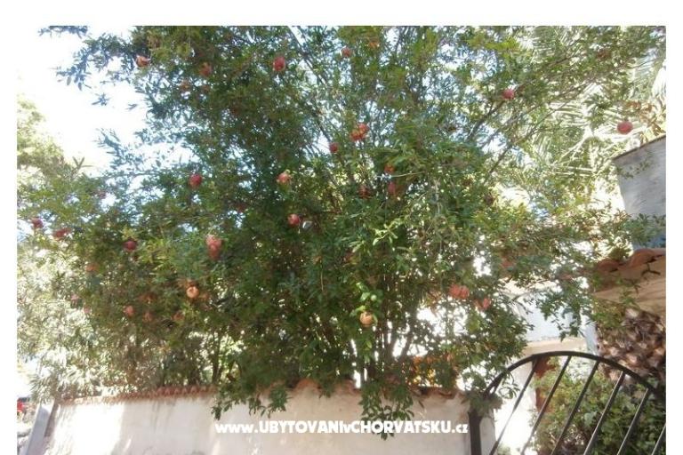 Apartamenty Bogović – foto 22