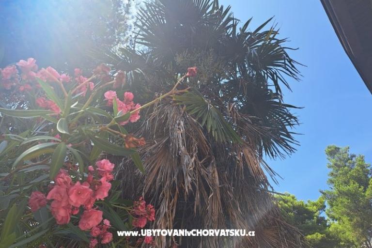 Apartamenty Bogović – foto 28