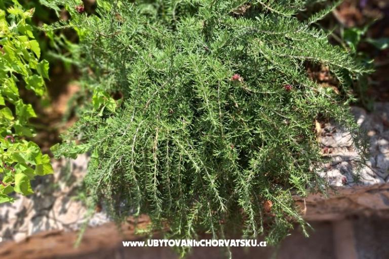 Apartamenty Bogović – foto 31