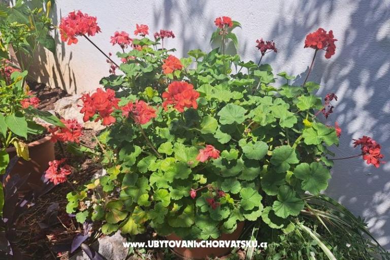 Apartamenty Bogović – foto 35