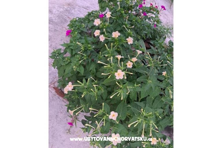 Apartamenty Bogović – foto 41