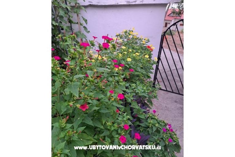 Apartamenty Bogović – foto 42