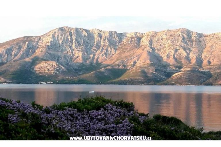 Apartamenty Raueiser – foto 15