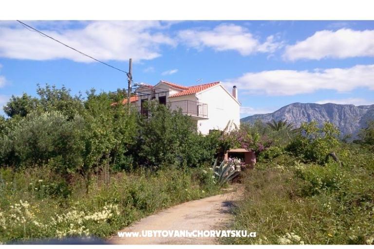 Apartamenty Rolanda – foto 13