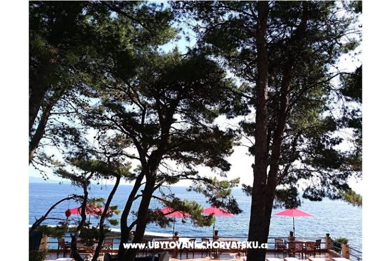 Pokoje i Apartamenty - Villa Irming – foto 18