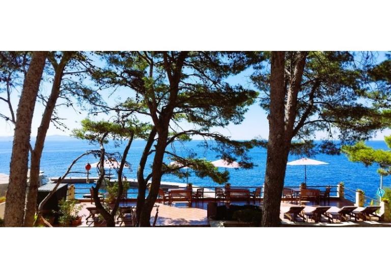 Pokoje i Apartamenty - Villa Irming – foto 22