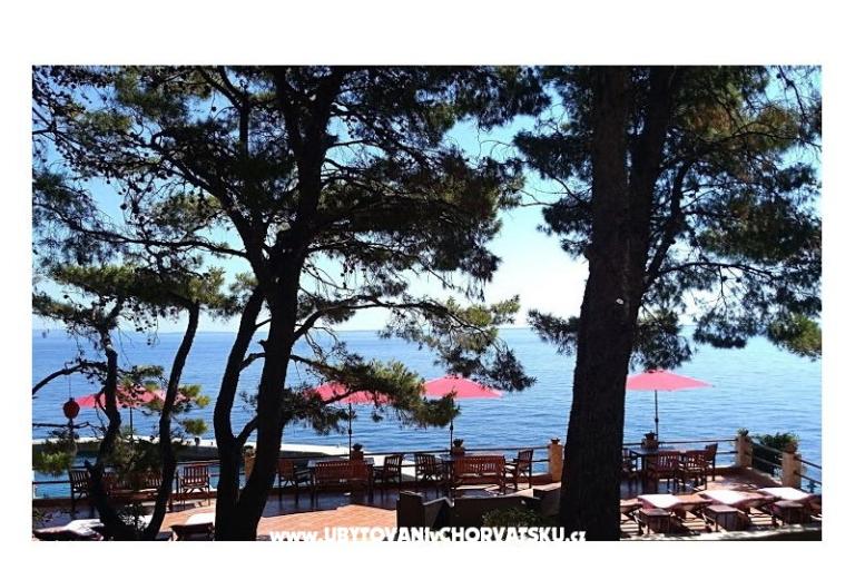 Pokoje i Apartamenty - Villa Irming – foto 27