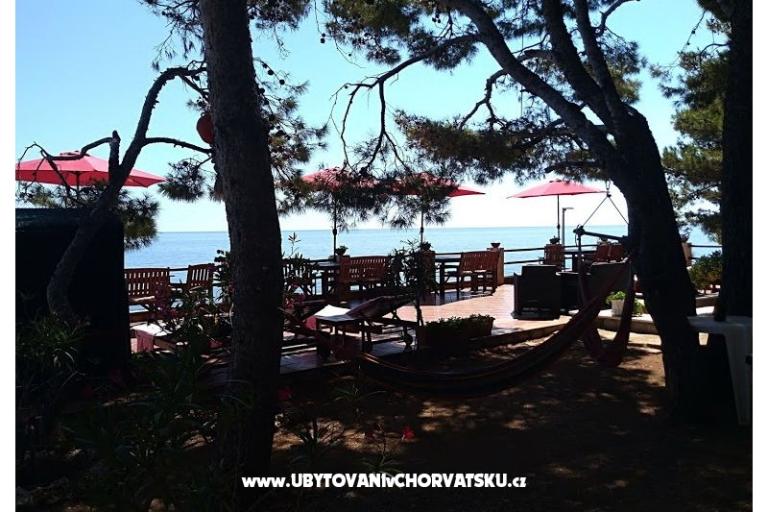 Pokoje i Apartamenty - Villa Irming – foto 28