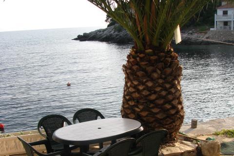 Vila Lila – foto 3