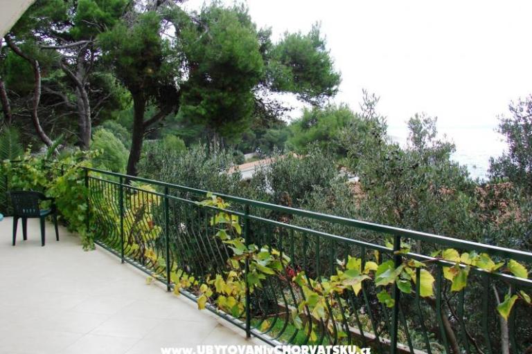 Villa Magnolia – foto 3