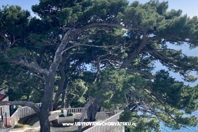 Apartamenty  Ines – foto 7