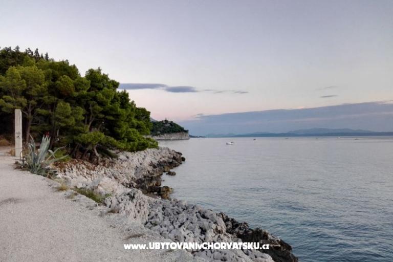 Apartamenty Ribica 1 – foto 10