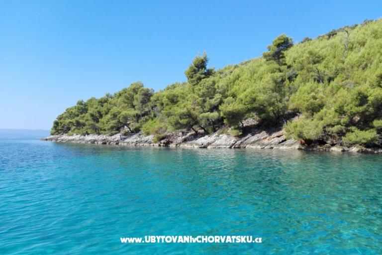 Apartamenty Ribica 1 – foto 11