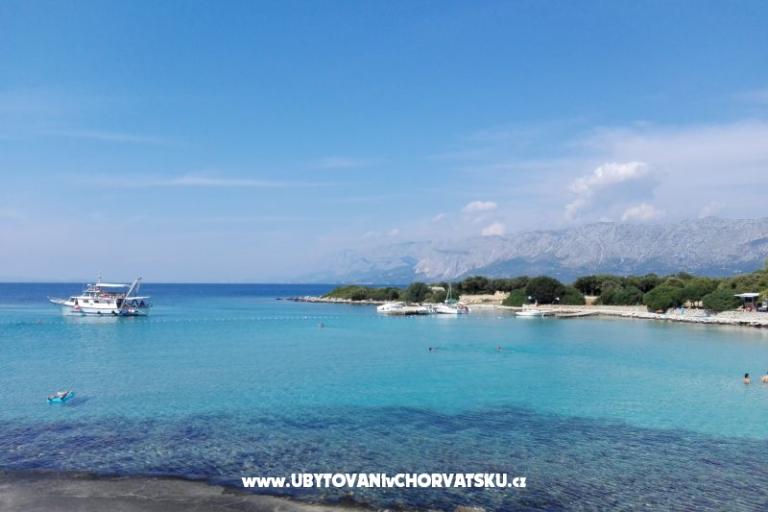 Apartamenty Ribica 1 – foto 13