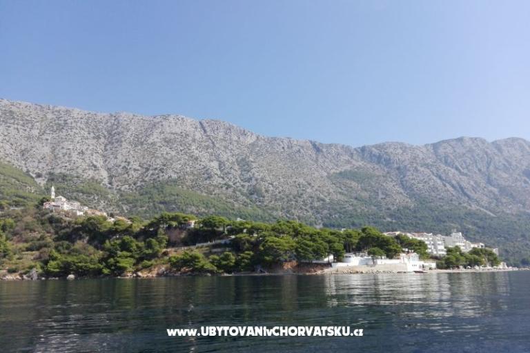 Apartamenty Ribica 1 – foto 9