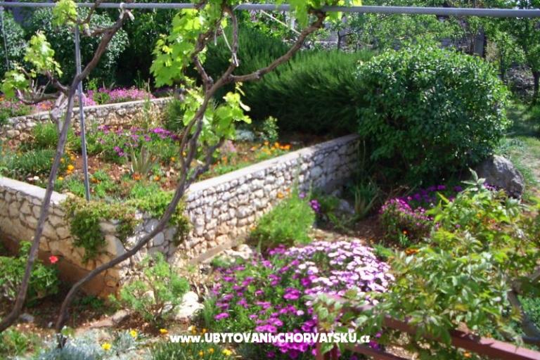 Apartament Buterin – foto 11