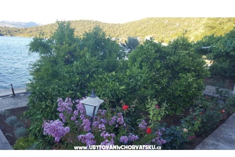 Apartamenty Ruža – foto 9