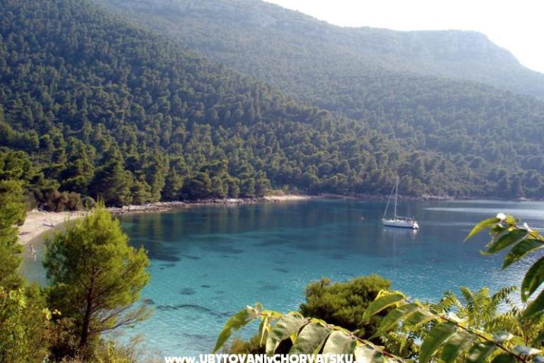 Apartamenty Trstenik – foto 8
