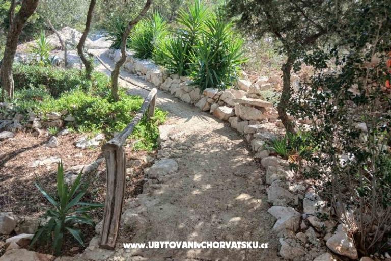 Apartamenty Ivomir Malo more – foto 5