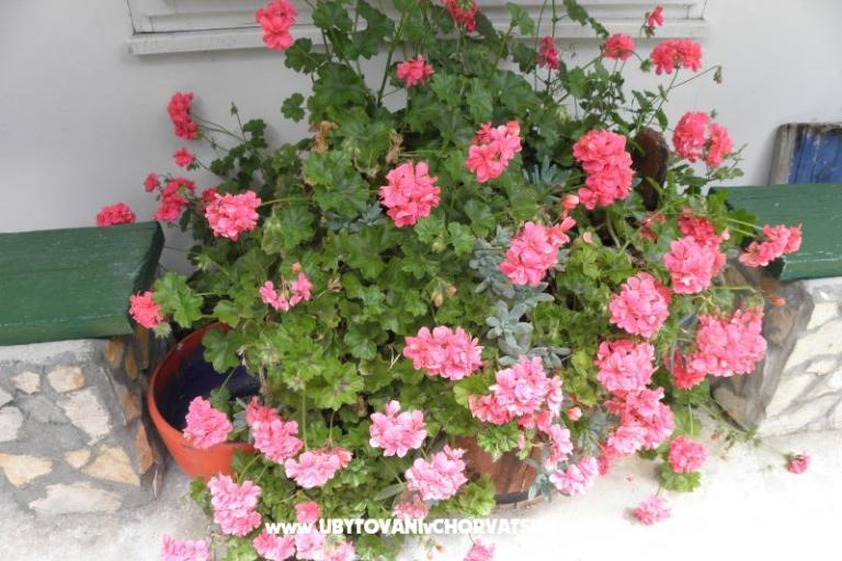 Apartamenty Šime Pelješac – foto 14