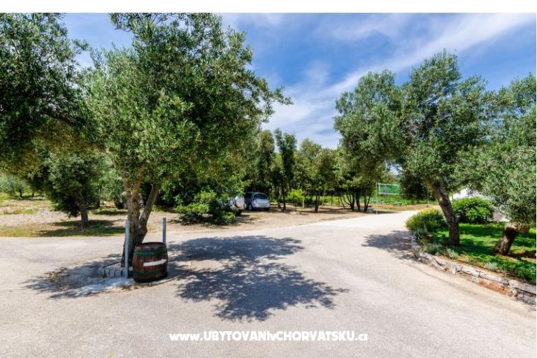 Apartamenty Glavor – foto 13