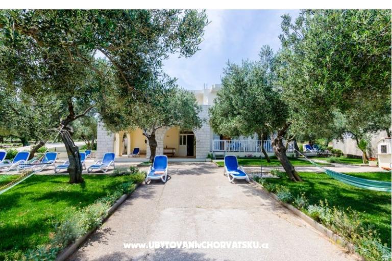 Apartamenty Glavor – foto 5