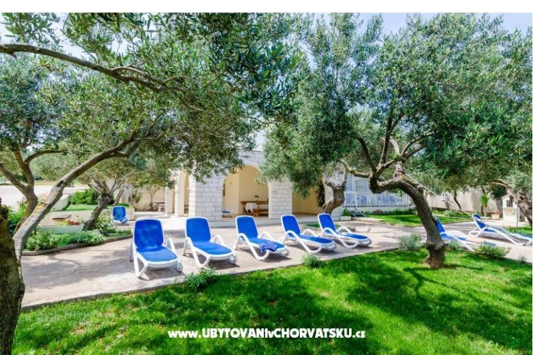 Apartamenty Glavor – foto 6