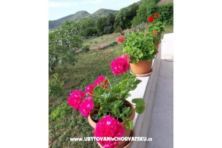 Gardenia Dom – foto 11