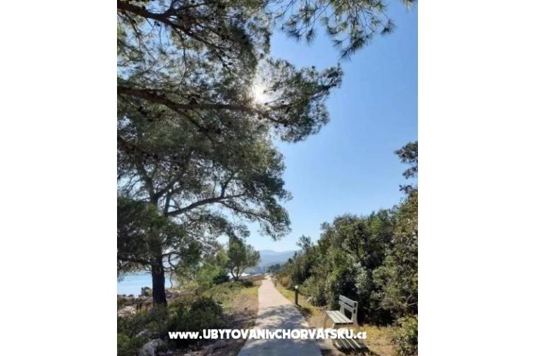 Gardenia Dom – foto 13