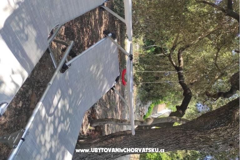 Ted Apartamenty – foto 13