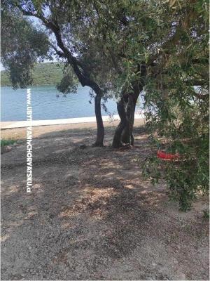 Ted Apartamenty – foto 14