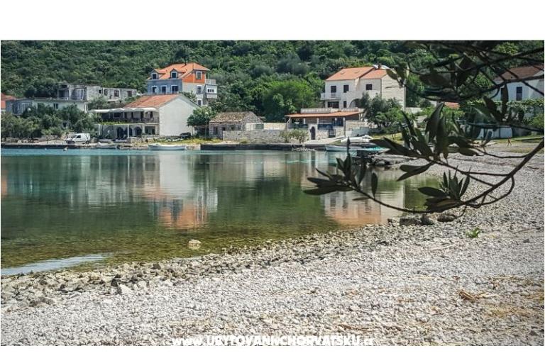 Ted Apartamenty – foto 8