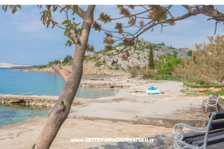 Apartament Tom – foto 18