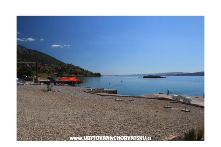 Apartament Camelia – foto 11