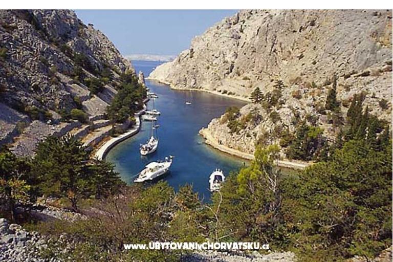 Apartament Camelia – foto 12