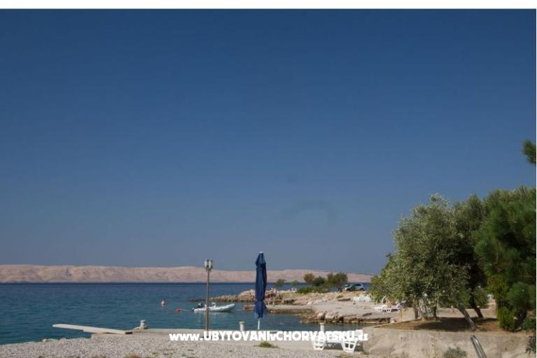 Apartament Camelia – foto 9