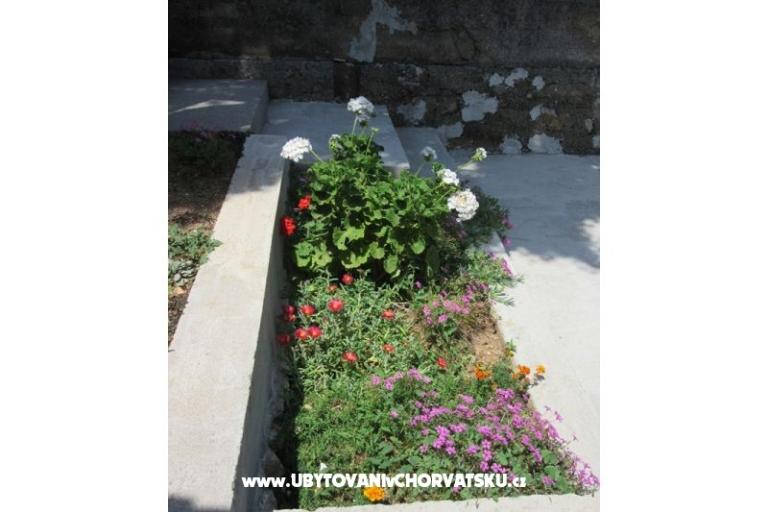 Apartamenty Gracijela – foto 16