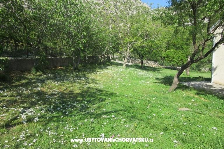 Apartamenty Gracijela – foto 4